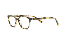 Load image into Gallery viewer, Tokyo Tortoise