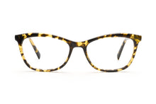 Load image into Gallery viewer, Tokyo Tortoise
