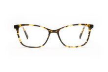 Load image into Gallery viewer, Tokyo Tortoise
