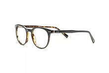 Load image into Gallery viewer, Black Tortoise

