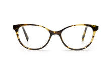 Load image into Gallery viewer, Tokyo Tortoise
