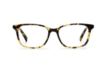 Load image into Gallery viewer, Tokyo Tortoise
