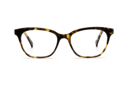 Tokyo Tortoise