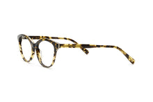 Load image into Gallery viewer, Tokyo Tortoise
