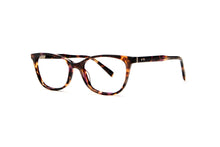 Load image into Gallery viewer, PK Tortoise
