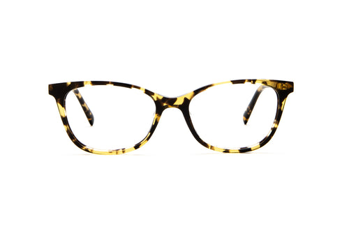 Tokyo Tortoise