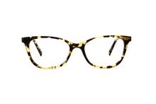 Load image into Gallery viewer, Tokyo Tortoise
