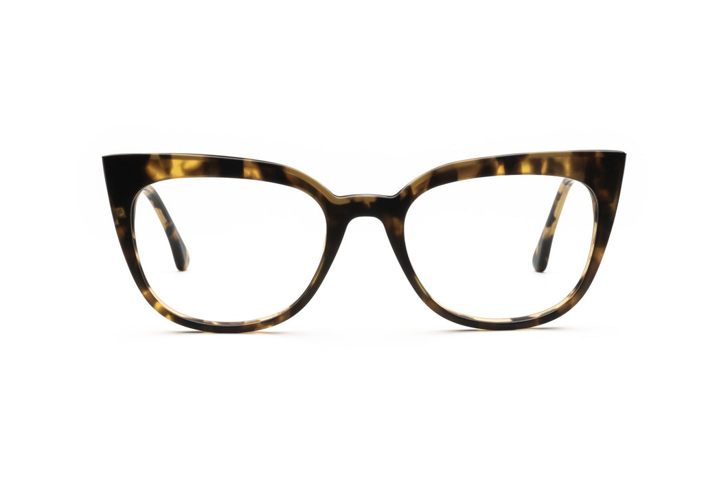 Matte Tokyo Tortoise