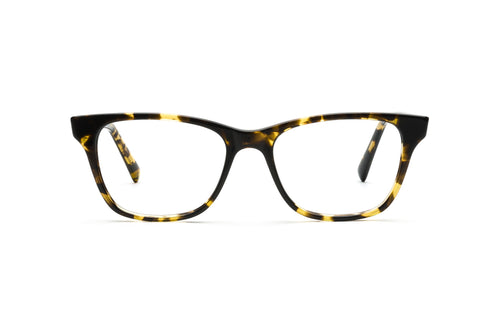 Tokyo Tortoise