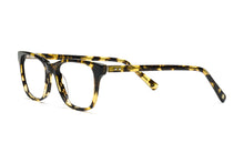 Load image into Gallery viewer, Tokyo Tortoise

