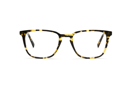 Tokyo Tortoise
