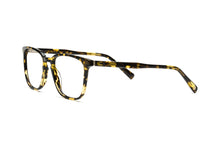 Load image into Gallery viewer, Tokyo Tortoise
