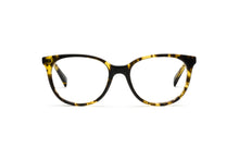 Load image into Gallery viewer, Tokyo Tortoise
