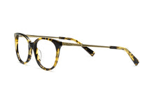 Load image into Gallery viewer, Tokyo Tortoise
