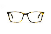 Load image into Gallery viewer, Tokyo Tortoise
