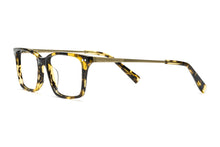Load image into Gallery viewer, Tokyo Tortoise
