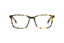 Load image into Gallery viewer, Tokyo Tortoise
