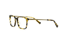 Load image into Gallery viewer, Tokyo Tortoise
