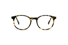 Load image into Gallery viewer, Tokyo Tortoise
