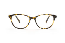 Load image into Gallery viewer, Tokyo Tortoise
