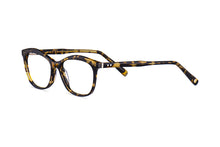 Load image into Gallery viewer, Tokyo Tortoise
