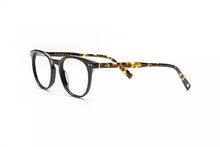 Load image into Gallery viewer, Black Tortoise
